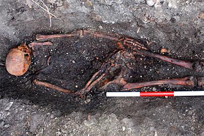 Bodies of 19th century convicts found by emergency archaeology team near Portsmouth | Culture24