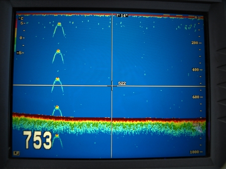 Nessie ahoy? Mystery object captured on Loch Ness cruise boat scanner (again again)