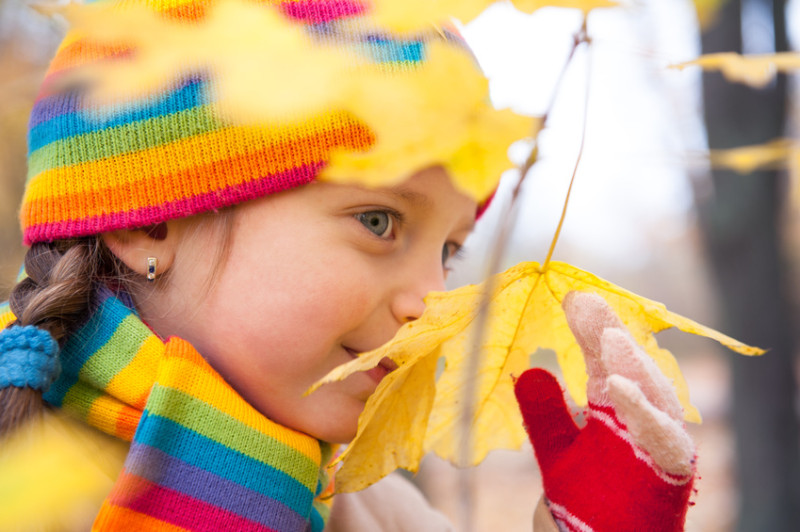 How smells stick to your memories: Your nose can be a pathfinder — ScienceDaily