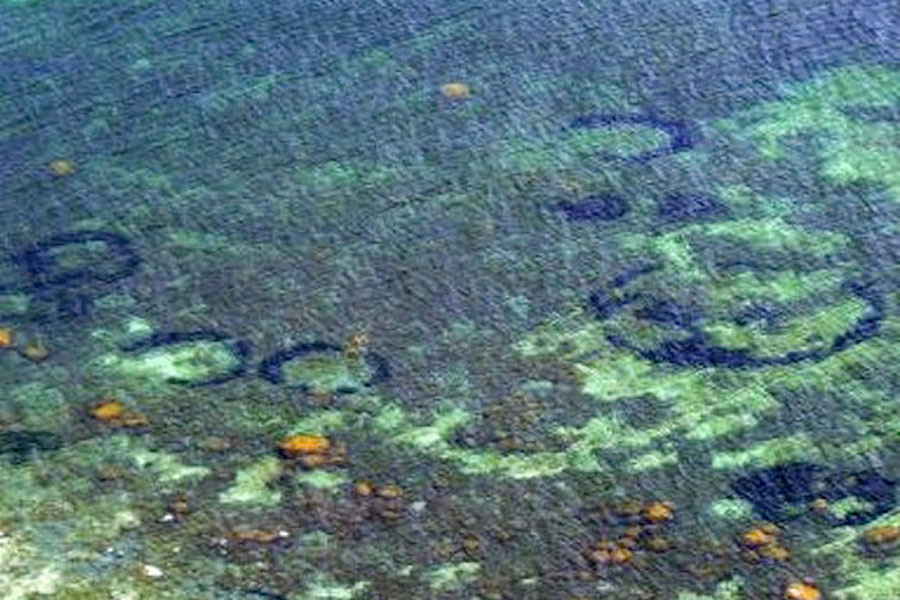 Mystery of huge underwater ‘crop circles’ solved