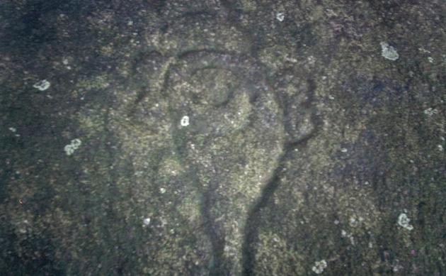 Rock engravings discovered near Palakkad
