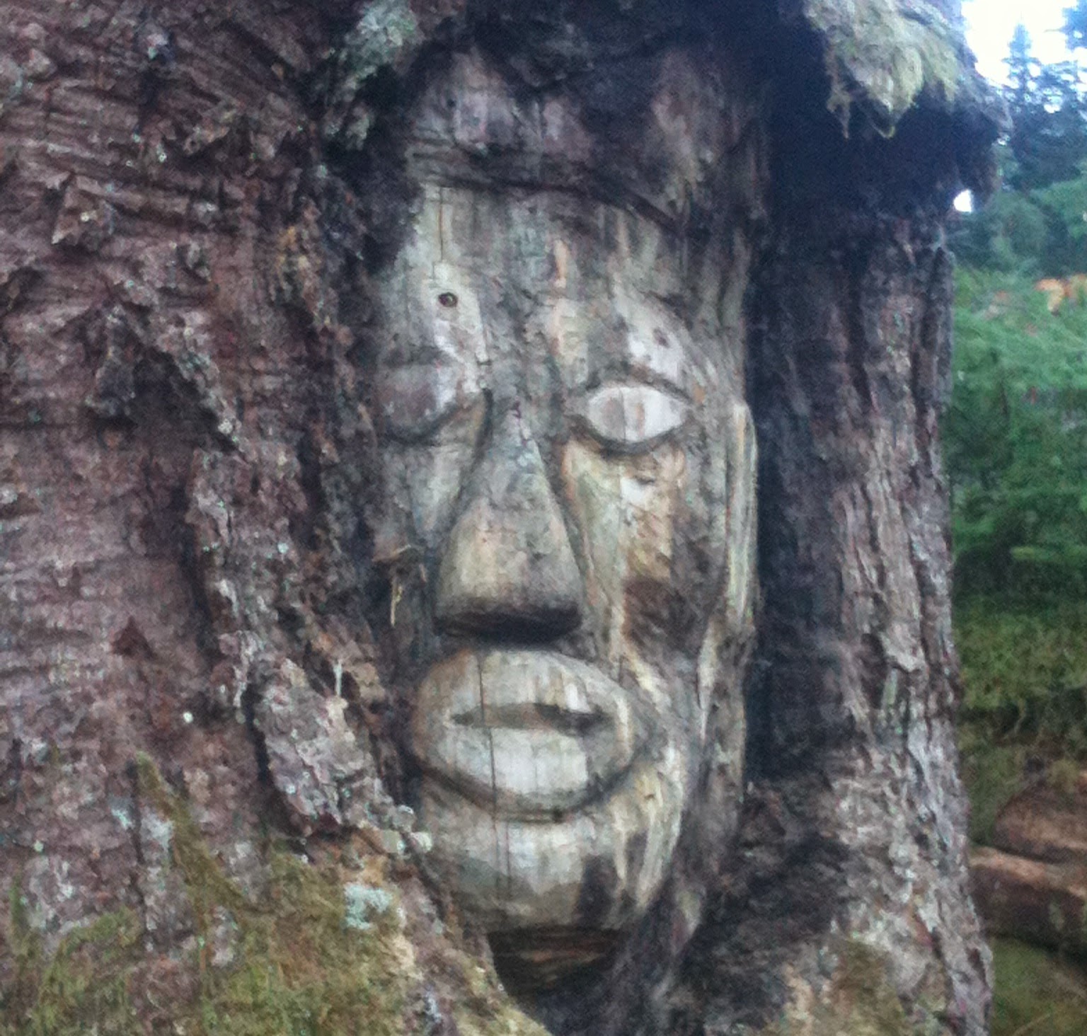 Loggers find 200 year old face carved in tree