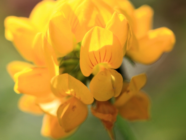 New-Age Bullshit Generator