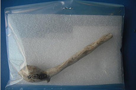 Israeli Archeologist Uncovers Proof Judas Smoked Marijuana | 