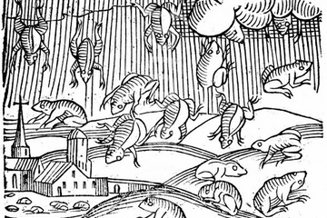 Raining Frogs & Fish: A Whirlwind of Theories