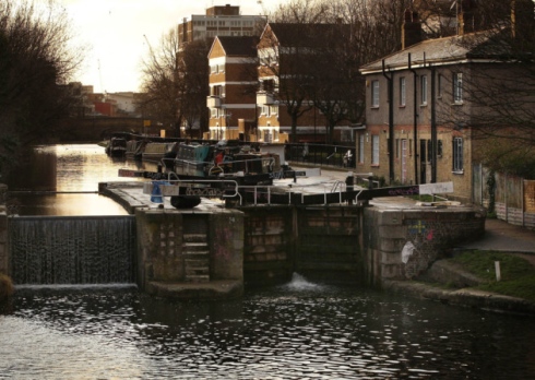 Call for cull of foreign snakes around Regent’s Canal