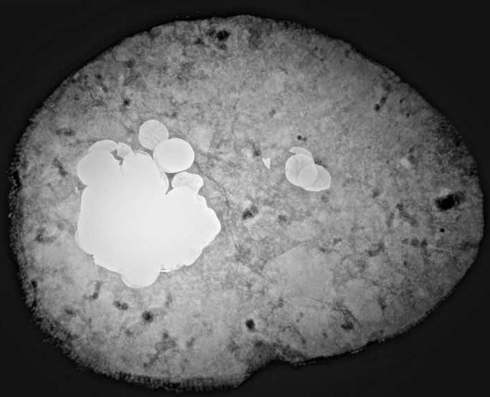 Metal detectorists unearth Viking gold