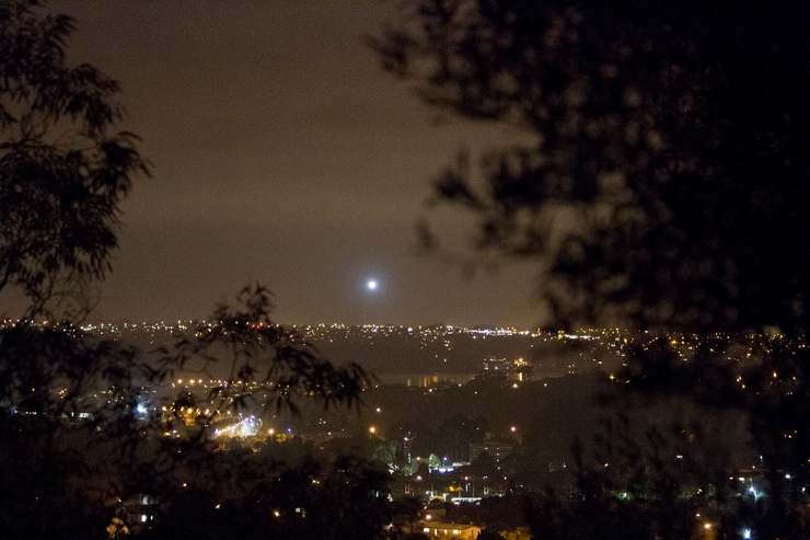 Auckland UFO was just some Energy Online marketing