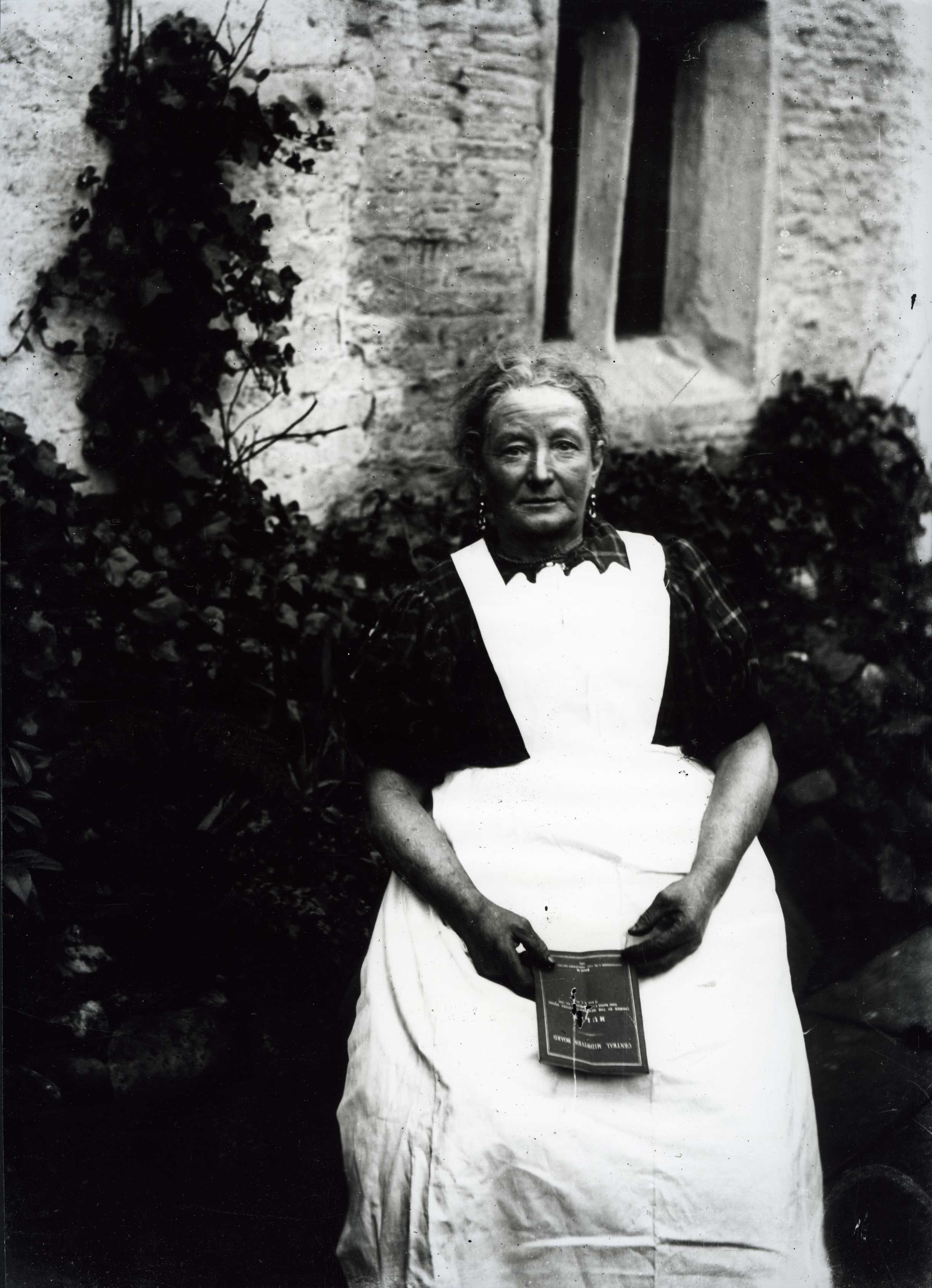 ‘Wild-haired and witch-like’: the wisewoman in industrial society