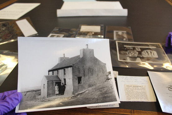 In England, Researchers Investigate Case of the Talking Mongoose