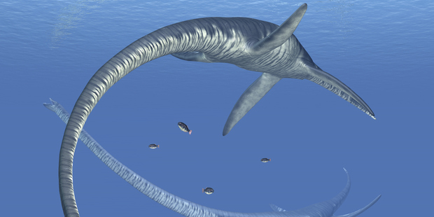 Southern Nessie mystery solved