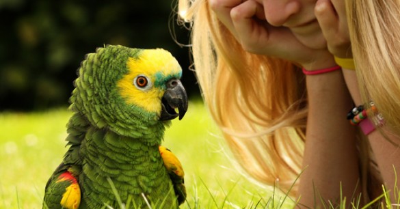 Long Lost Language Spoken Only by Parrots