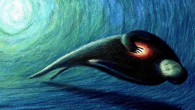 Near-death experiences are surprisingly similar – and vivid