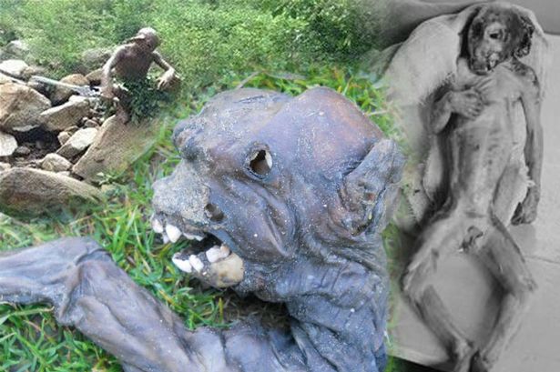 Gollum ‘found’ in China: Other alien sightings that turned out to be hoaxes