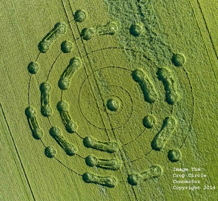 Crop Circle At Gipsy Lane, Chilcomb Down, Nr Winchester, Hampshire. United Kingdom. Reported 6th June 2014