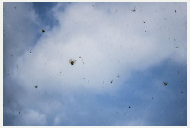 Gloucestershire Residents Baffled Over Raining Hay Phenomenon