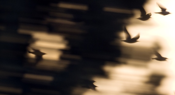 The Dark Knight of the Soul