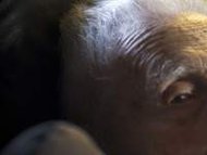 World’s Oldest Man Alexander Imich Dies At 111