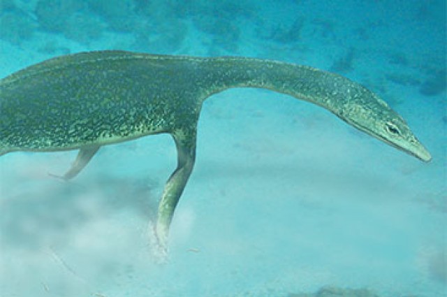 Fossilized Tracks Reveal How Ancient Sea Monsters Moved