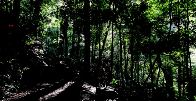 The Red Devil of Virginia – strange sightings around Horntown