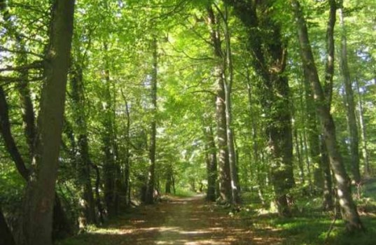 The disappearance of James Worson