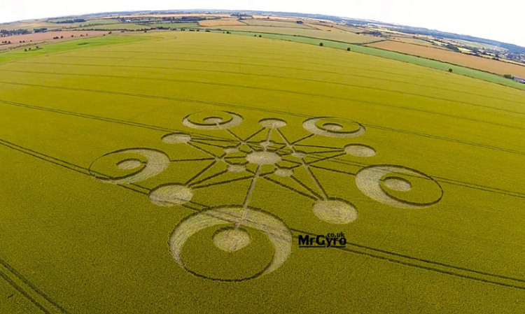 Crop Circle At Ackling Dyke, Nr Sixpenny Handley, Dorset, United Kingdom. Reported 29th June 2014 – One Vibration