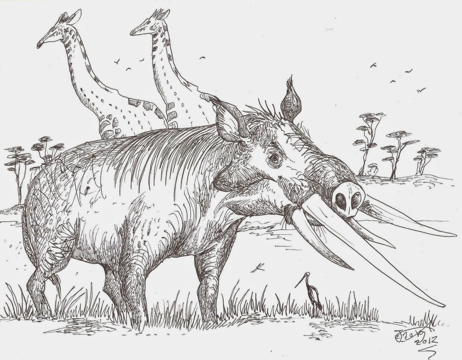 THE CURIOUS CASE OF ROTHSCHILD’S LOST TUSK AND THE NON-EXISTENT ELEPHANT PIG – AN ENDURING CRYPTOZOOLOGICAL CONUNDRUM FROM AFRICA