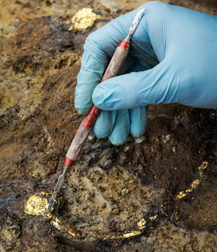 Elite Gallic chariot burial revealed