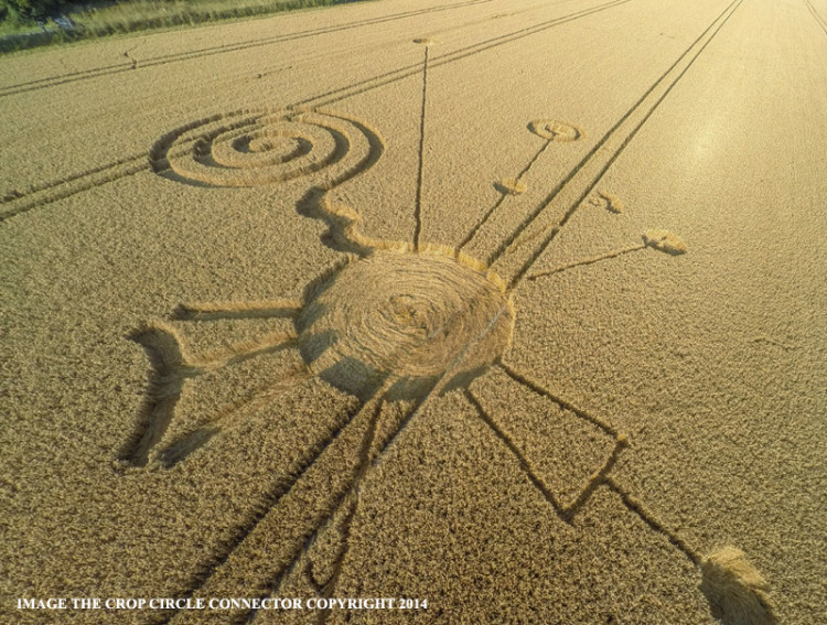 Crop Circle At Roundway Hill, Nr Devizes, Wiltshire, United Kingdom. Reported 30th July 2014