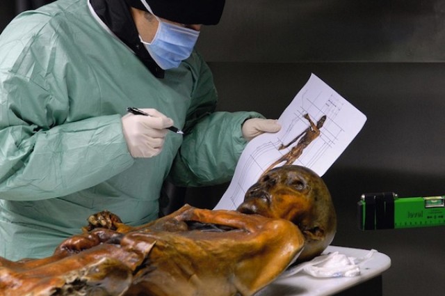 Non-Human DNA Discovered During Biopsy Of Ötzi The Iceman