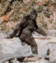 Newly Stabilized Patterson Bigfoot Film Released