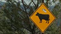 Mystery UFO symbols have appeared on dozens of cattle crossing signs