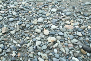 Stones Thrown From Nowhere