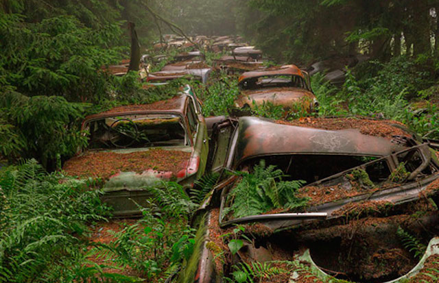 Photos of a traffic jam stuck in the woods for 70 years