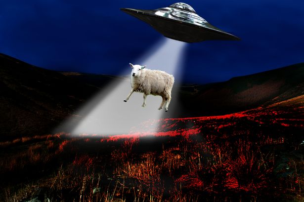Wales UFO reports: Sheep’s alien abduction among UFO incidents reported to Welsh police
