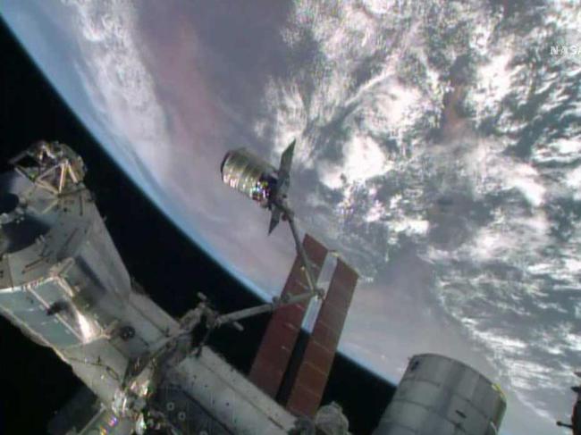 Russian cosmonauts find sea plankton on International Space Station