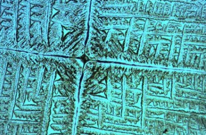 Bacteria Build Shelters from Salt, Hibernate There