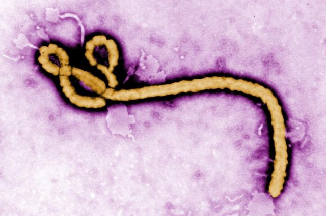 Ebola outbreak: ‘Witchcraft’ hampering treatment, says doctor