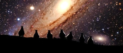 The Great Alien Debate Part 1