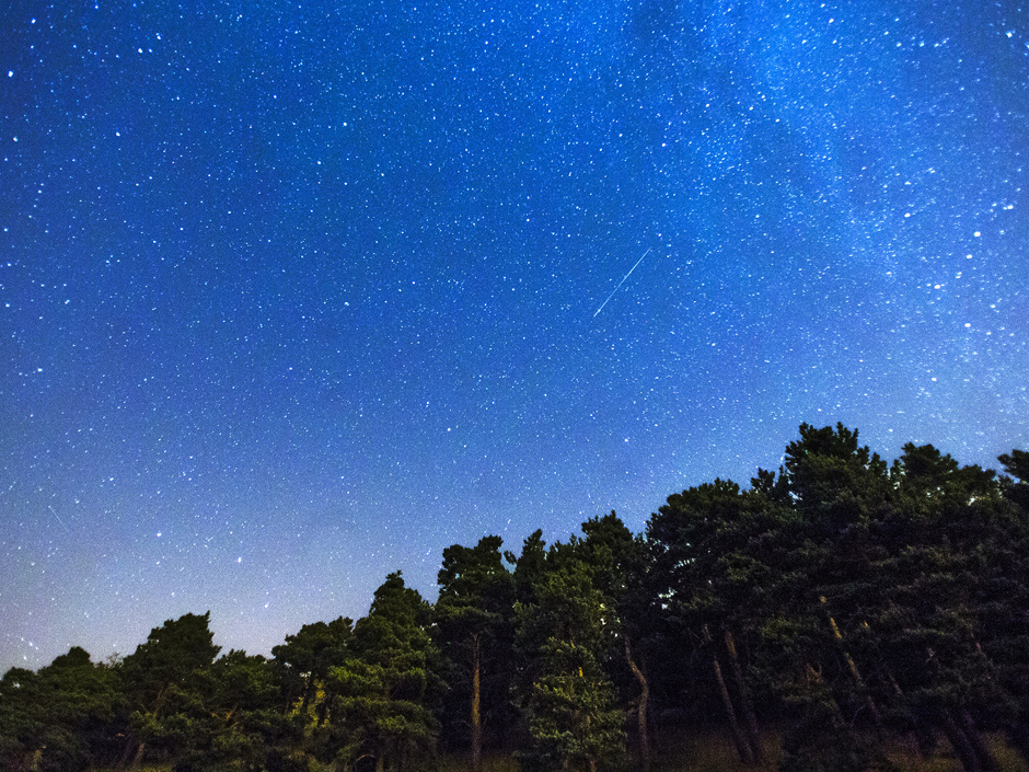Perseid meteor shower 2014: How to watch the ‘spectacular’ annual light show