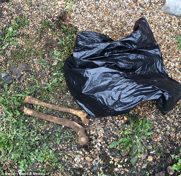 Woman digging foundations for conservatory finds two headless 150-year-old skeletons
