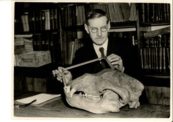 J. Wilfrid Jackson and Museums | Buxton Museum and Art Gallery