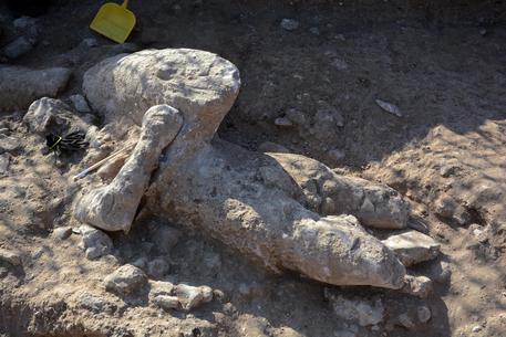 Sardinian archaeologists find ‘giant’