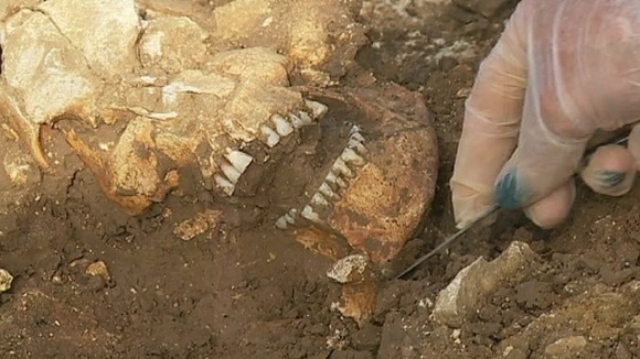 ‘Black Death’ skeletons unearthed in Peterborough