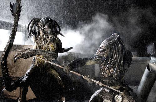 Alien Vs Predator: Who Would REALLY Win?