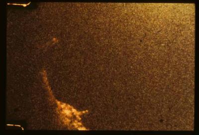 When MIT Helped Search for the Loch Ness Monster