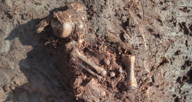 Bog Body Uncovered in Ireland’s County Meath