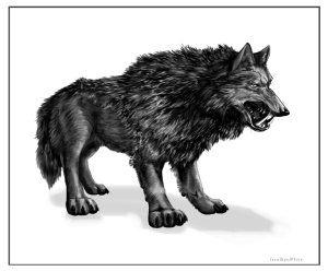 The Saber Wolf – Alaska’s Other Cryptid?