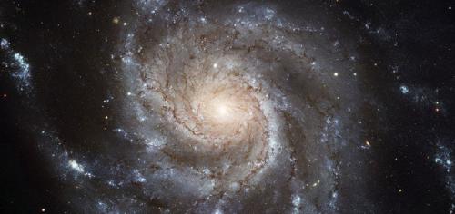 The Great Debate over whether the universe is small or large