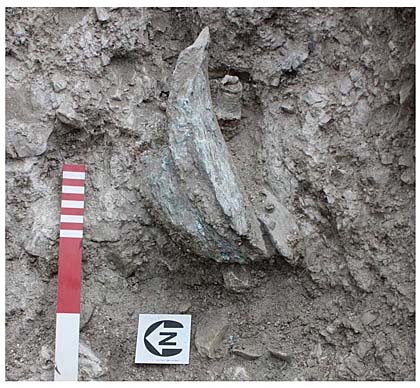 Archaeologists find remains of German Messerchmitt downed during Battle of Britain dogfight